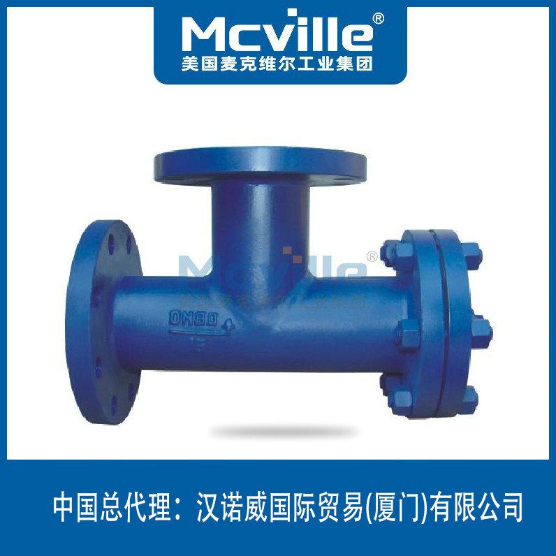 進口T型過濾器