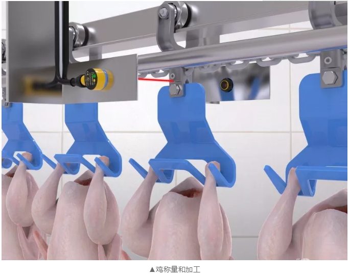 邦納發布T18-2 新一代抗沖洗的高性能光電傳感器