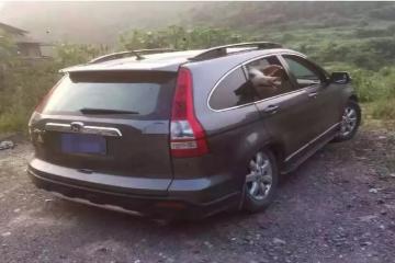 類物流：一輛面包車里，塞了24頭豬？！