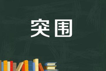 各方穩(wěn)外貿(mào)“有力道” 多舉措助企業(yè)困境中突圍