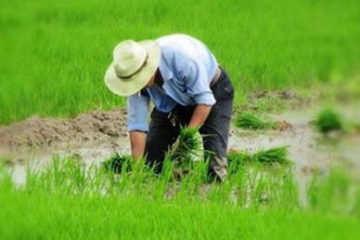 江門冷鏈產(chǎn)業(yè)園扶農(nóng)助農(nóng)，助力鄉(xiāng)村振興