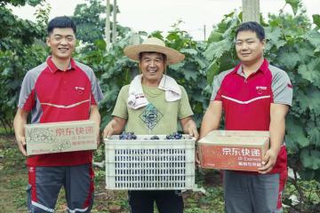 國家郵政局：鼓勵(lì)郵政快遞企業(yè)優(yōu)化共配合作模式，不斷擴(kuò)大快遞進(jìn)村覆蓋廣度和深度