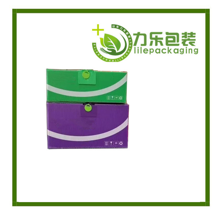 菏澤綠色中空板周轉箱