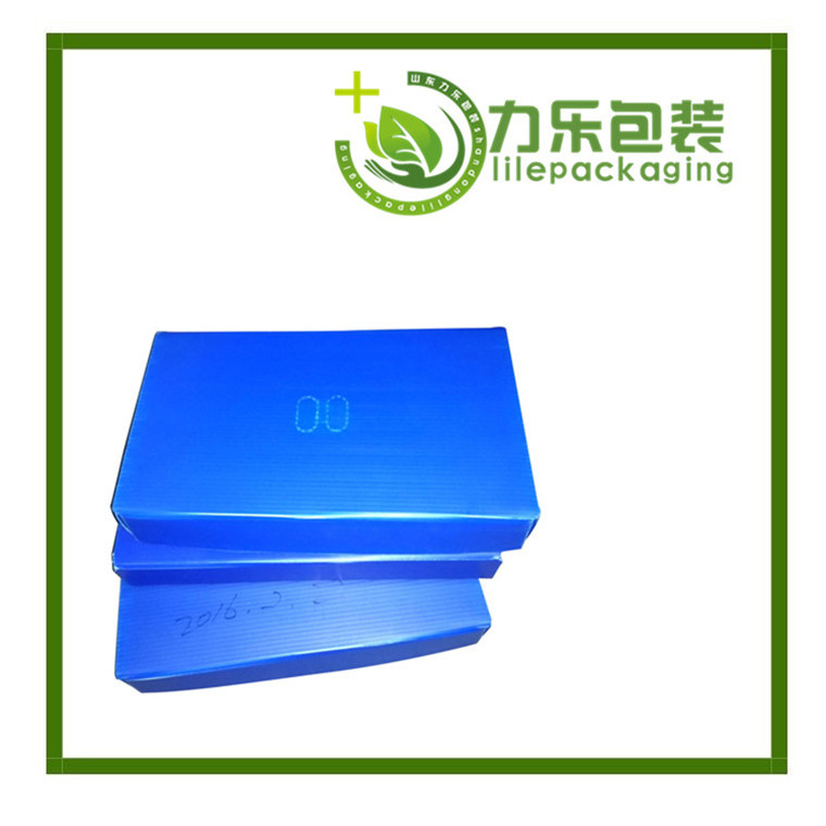 菏澤生產中空板周轉箱
