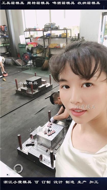 儲物箱塑料模具 首選小霞模具