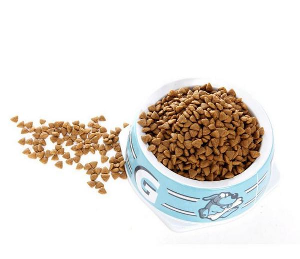 新西蘭進口水族寵物食品犬糧貓糧飼料寵物用品廣州港進口報關