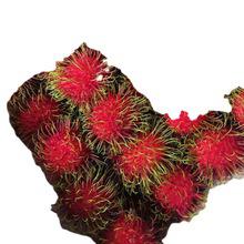 天津港進(jìn)口泰國紅毛丹新鮮水果大果大目鳳梨釋迦荔枝報關(guān)清關(guān)