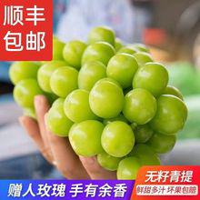 進口日本晴王無籽青提陽光網紅水果生鮮孕婦葡萄青島港報關