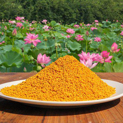 常州港進(jìn)口美國蜂花粉食品蜂蜜零食休閑食品商超報(bào)關(guān)