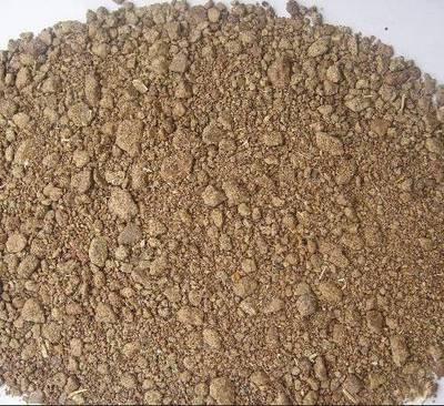 天津港進口白豌豆雙低菜粕甜菜粕棕櫚粕所羅門群島椰子粕報關報檢