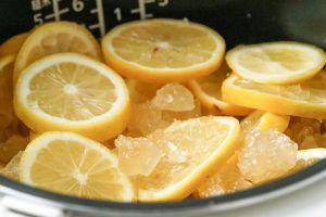 增稠劑穩定劑乳化劑保定膠體進口干燥檸檬渣碎泰國清關事宜