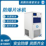 防爆一體式片冰機