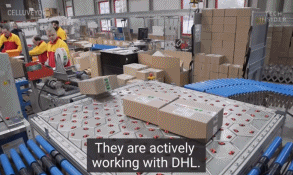 640 (8).gif