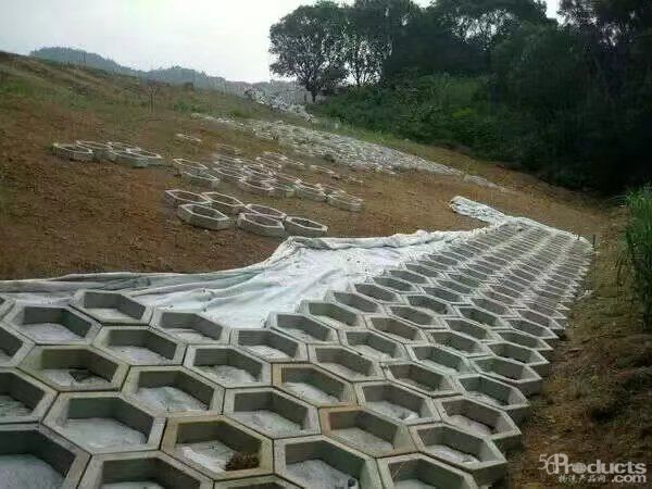 微信圖片_20230312174227.jpg