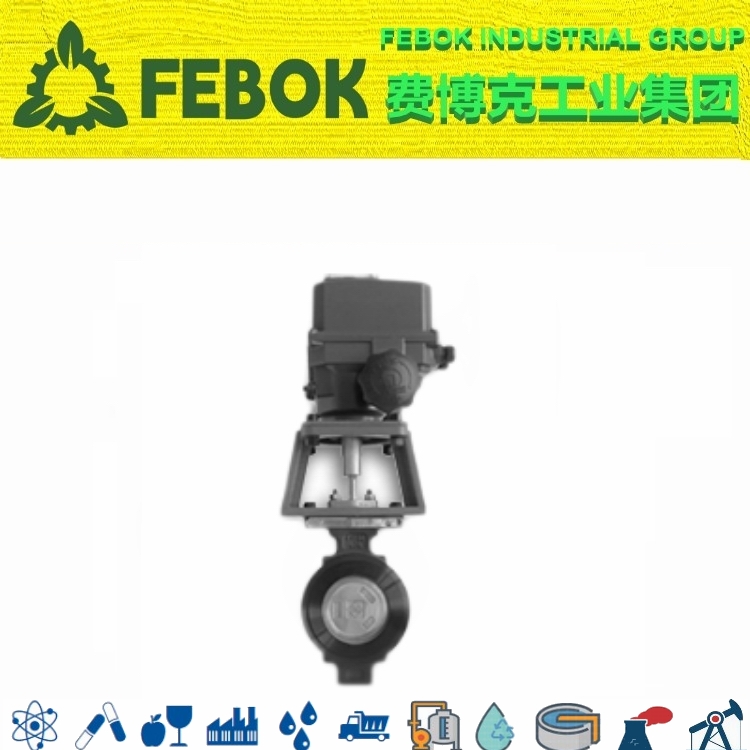 進口電動雙偏心高性能蝶閥.jpg