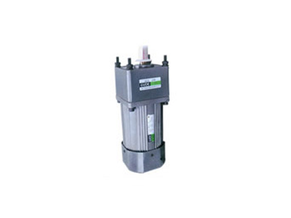 60W90W120W感應(yīng)式電動機(jī)