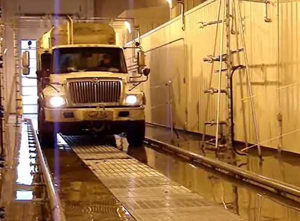 ��ϴ���̳�